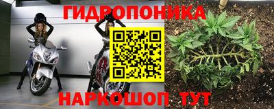 мдпв Шебекино
