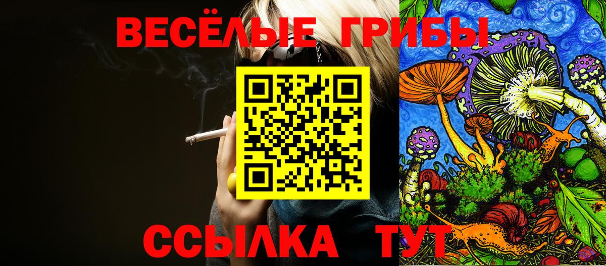 Михайловка  продажа наркотиков  Вход с VPN  Галлюциногенные грибы Psilocybe 